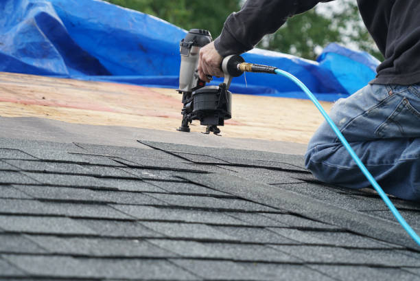 Best Roof Gutter Cleaning  in Mccrory, AR