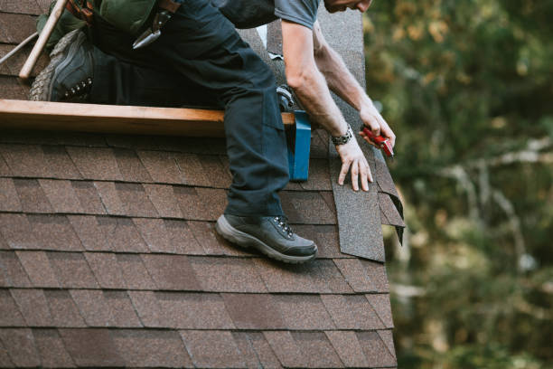 Best Roof Maintenance Services  in Mccrory, AR